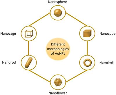 Multifunctional Gold Nanoparticles: A Novel Nanomaterial for Various Medical Applications and Biological Activities